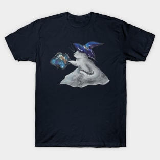 Salem Harbor Witch T-Shirt